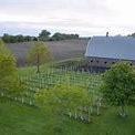 Back Country Winery