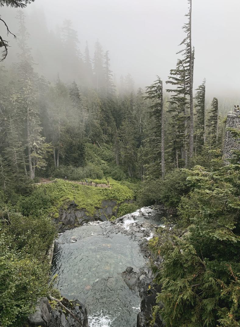 Mt Rainier National Park
