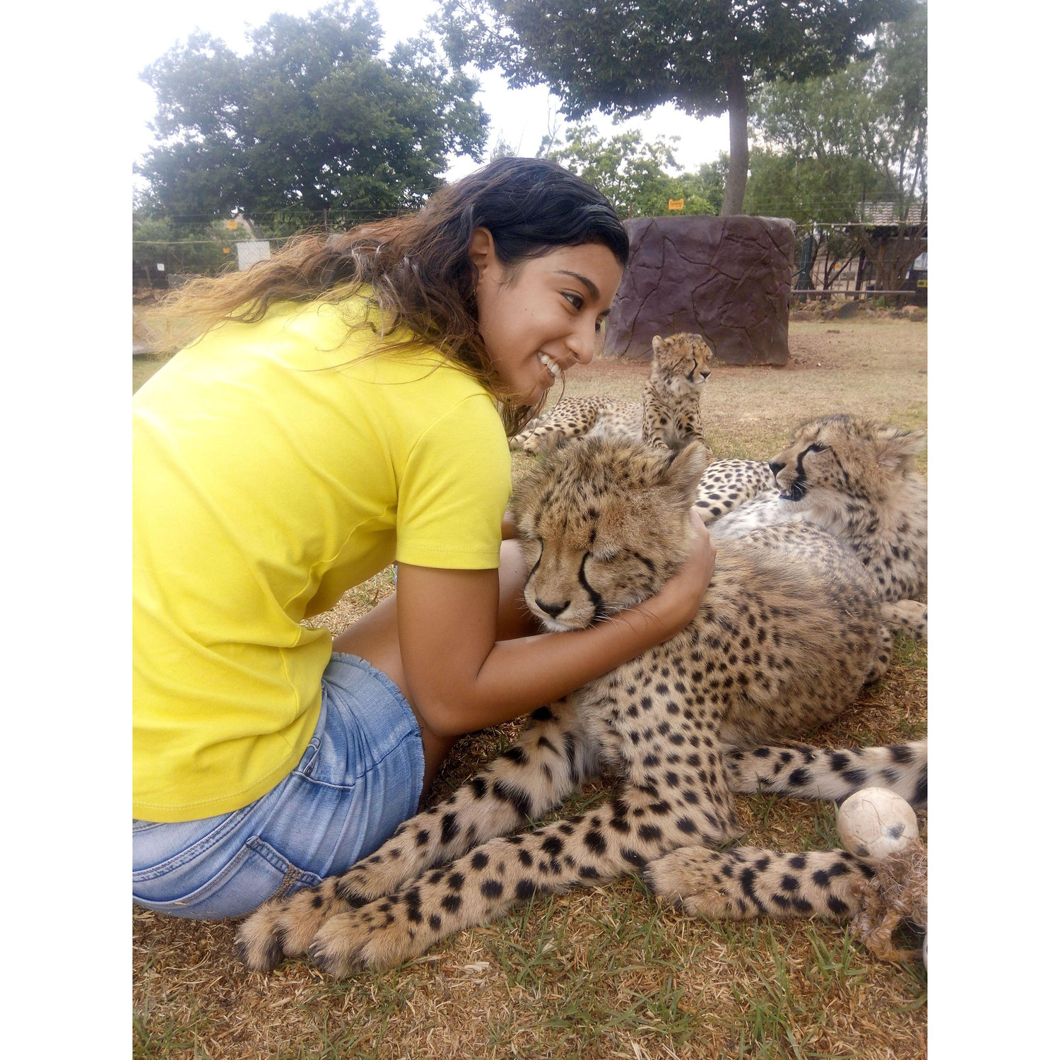 When you ask if we have wild animals in Johannesburg, the answer is... Yes! but at an animal sanctuary. Pau is playing with cheetah cubs at the Lion and Rhino Park. Look at that smile!