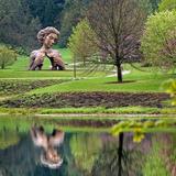 The Morton Arboretum