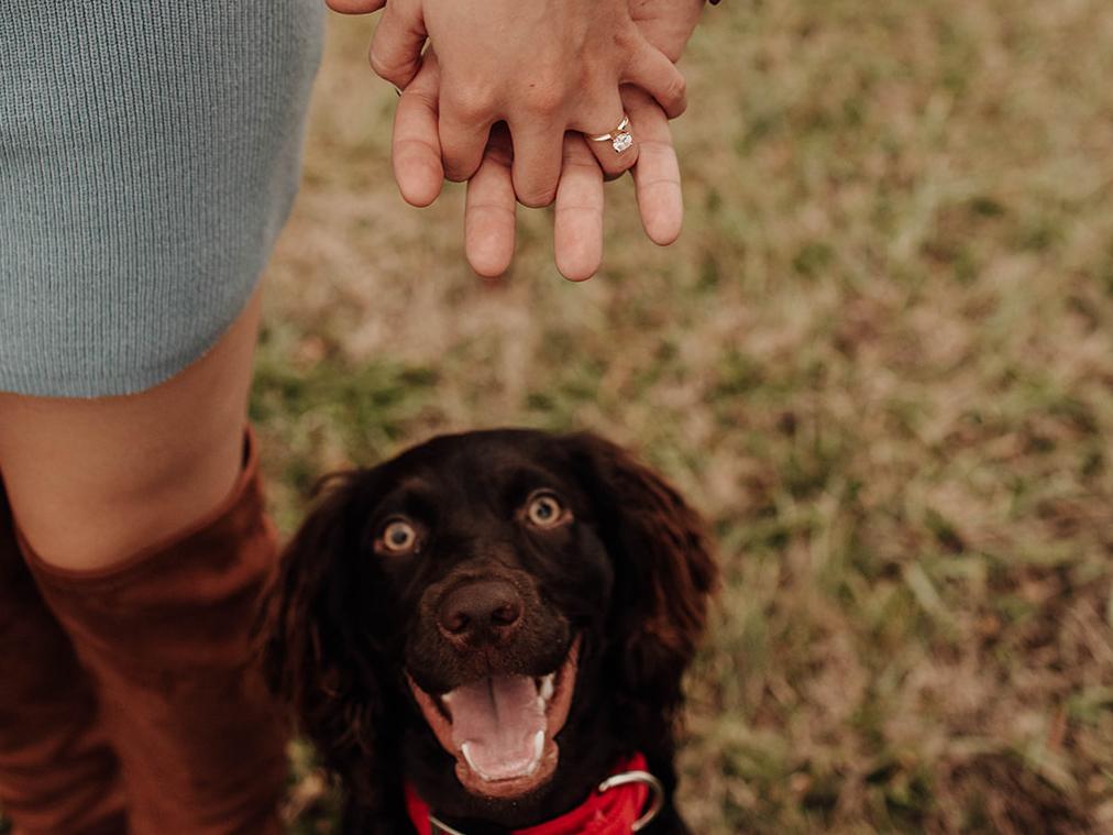 The Wedding Website of Michaela Pittman and Alexander Yost