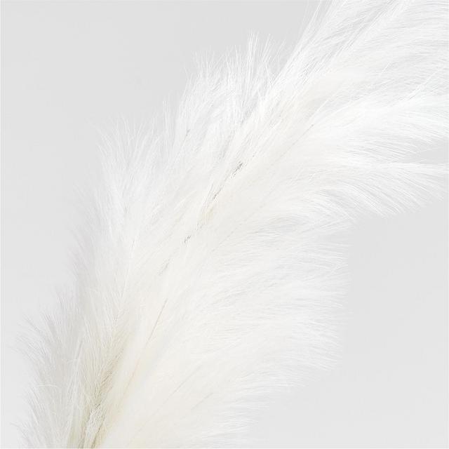 Faux Ivory Pampas Grass Stem 6'
