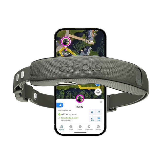 Halo Collar 5, New Wireless Dog Fence & GPS Dog Collar, Subscription Required, Waterproof, Graphite, One Size