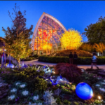 Chihuly Garden and Glass