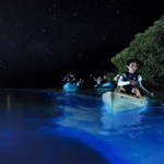 Bioluminescence Night Kayak