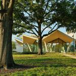 Arkansas Museum of Fine Arts