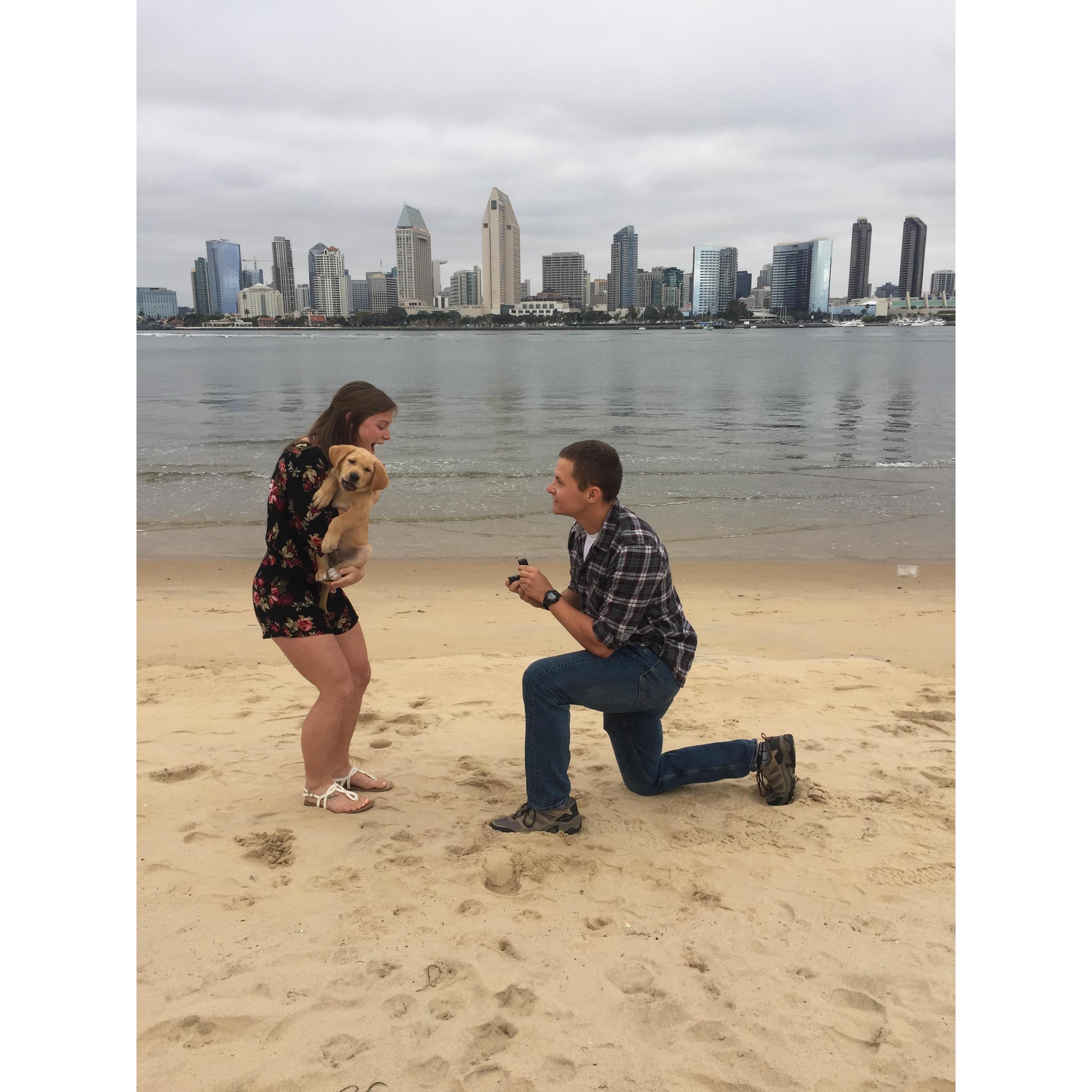 The proposal!! (5.19.2018)
