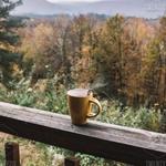 Higher Grounds Coffee House