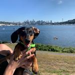 Gas Works Park + Stoneway Cafe