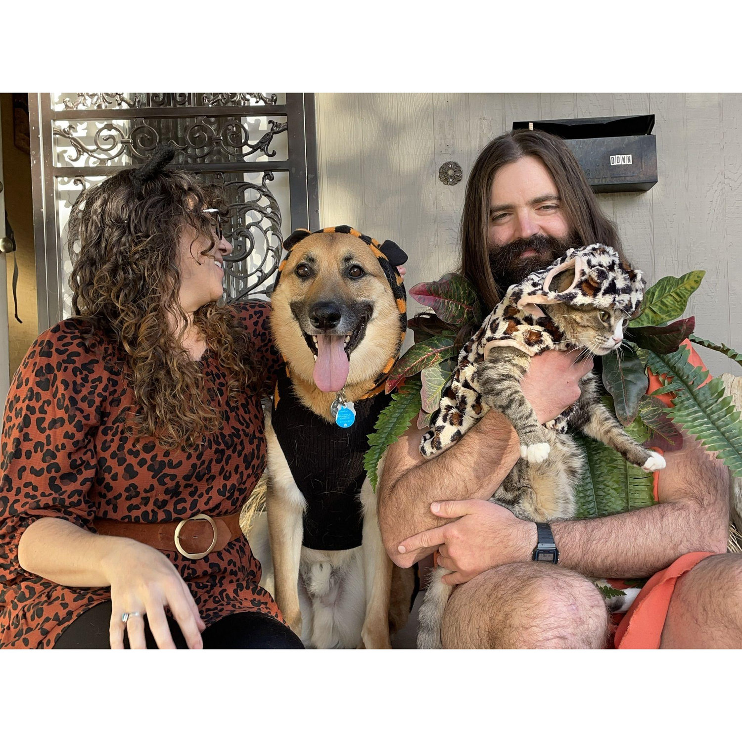 Alan from Jumanji and his jungle cats.