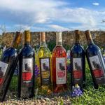 Hawk's Shadow Estate Winery