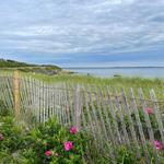 Shining Sea Bikeway