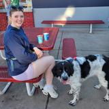 Dairy Queen (Treat)