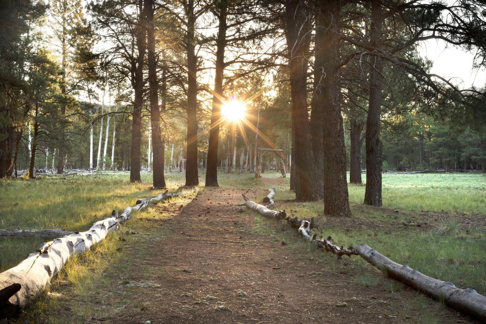 The Wedding Website of Caleb Alexander Phillips and Marissa Molloy