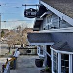 Spyhop