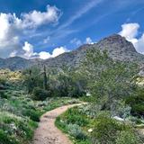 Hiking