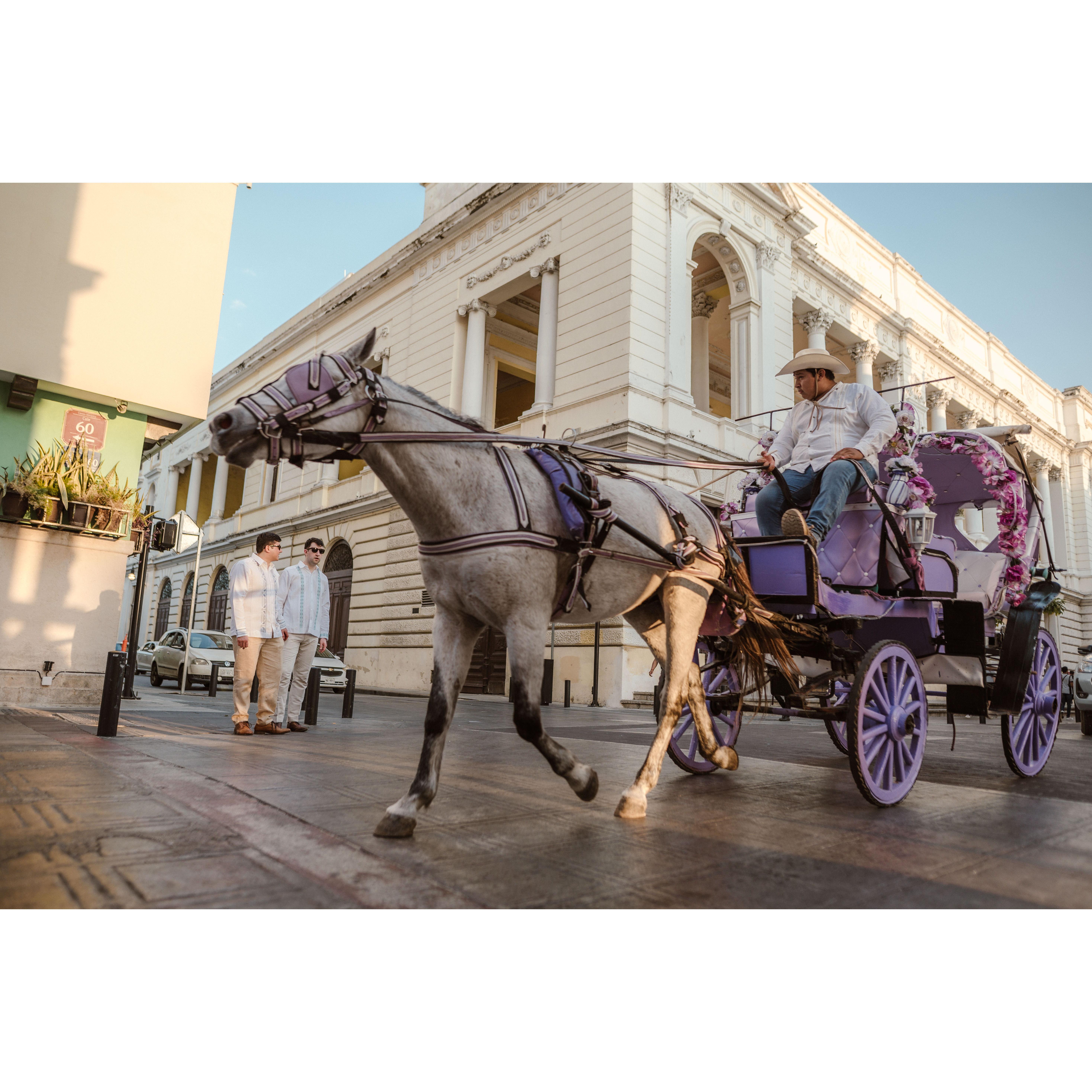 Caballo