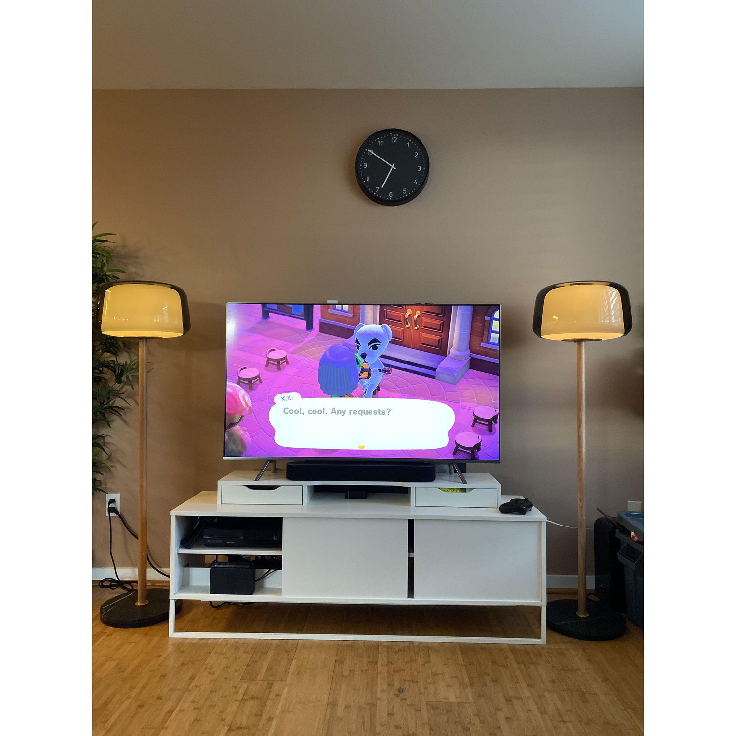 Winter/Spring 2020 (COVID-19) Pandemic - Lots of time spent inside together playing Animal Crossing