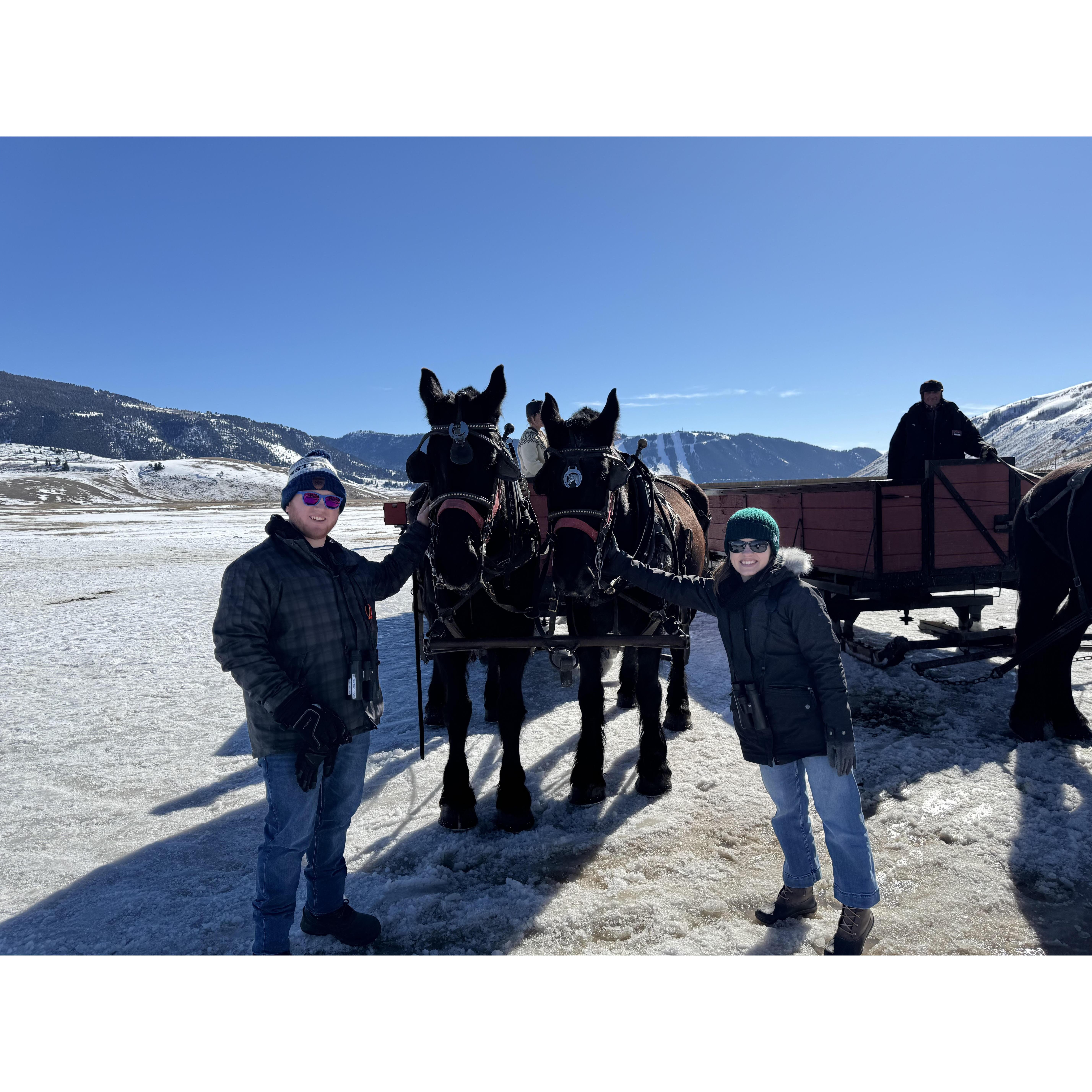 Exploring the National Elk Refuge