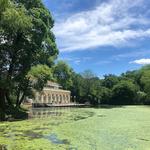 Picnic at Prospect Park