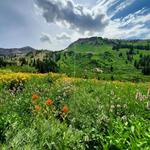 Hike - Albion Meadows Trail