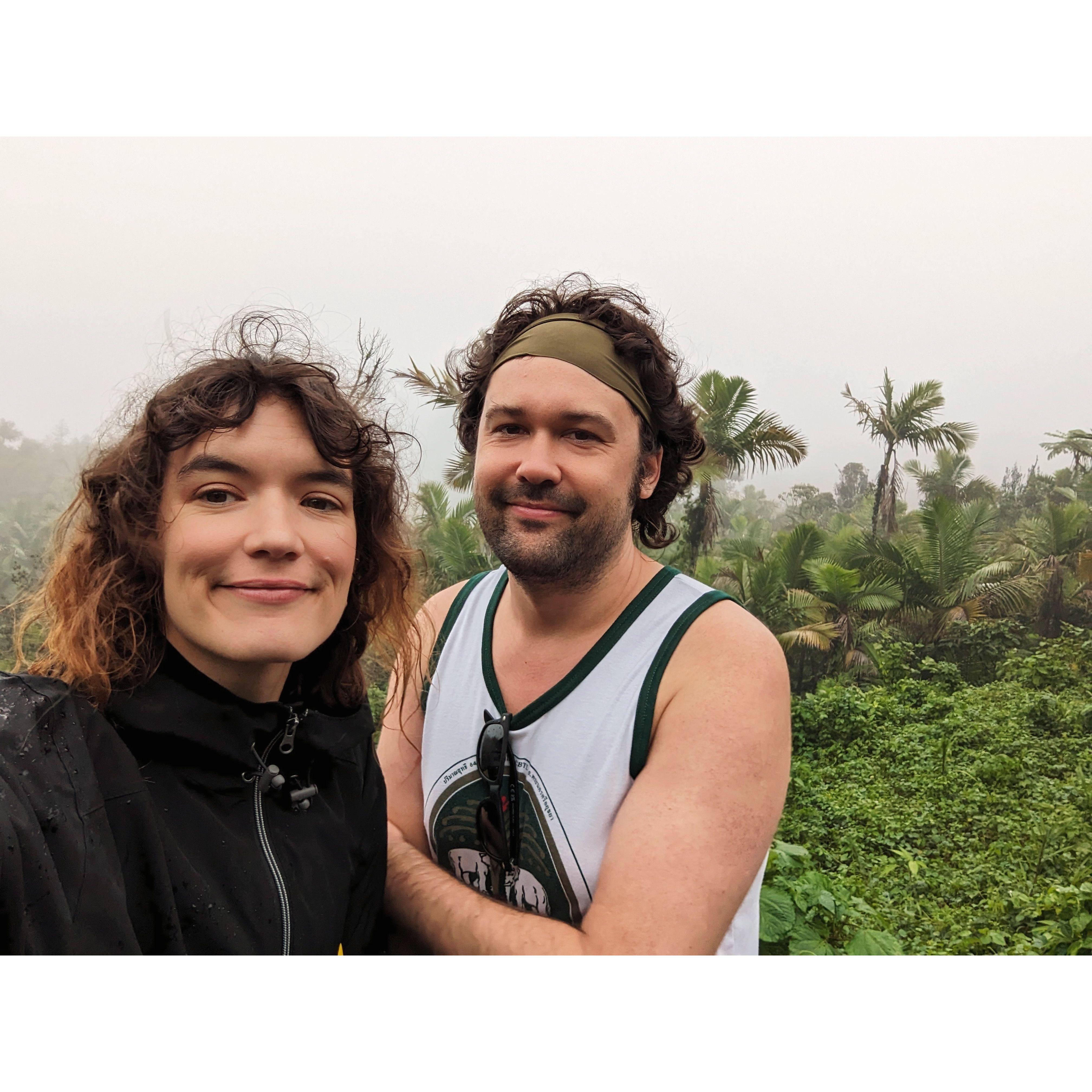 w/ Puerto Rico rainforest, 2023