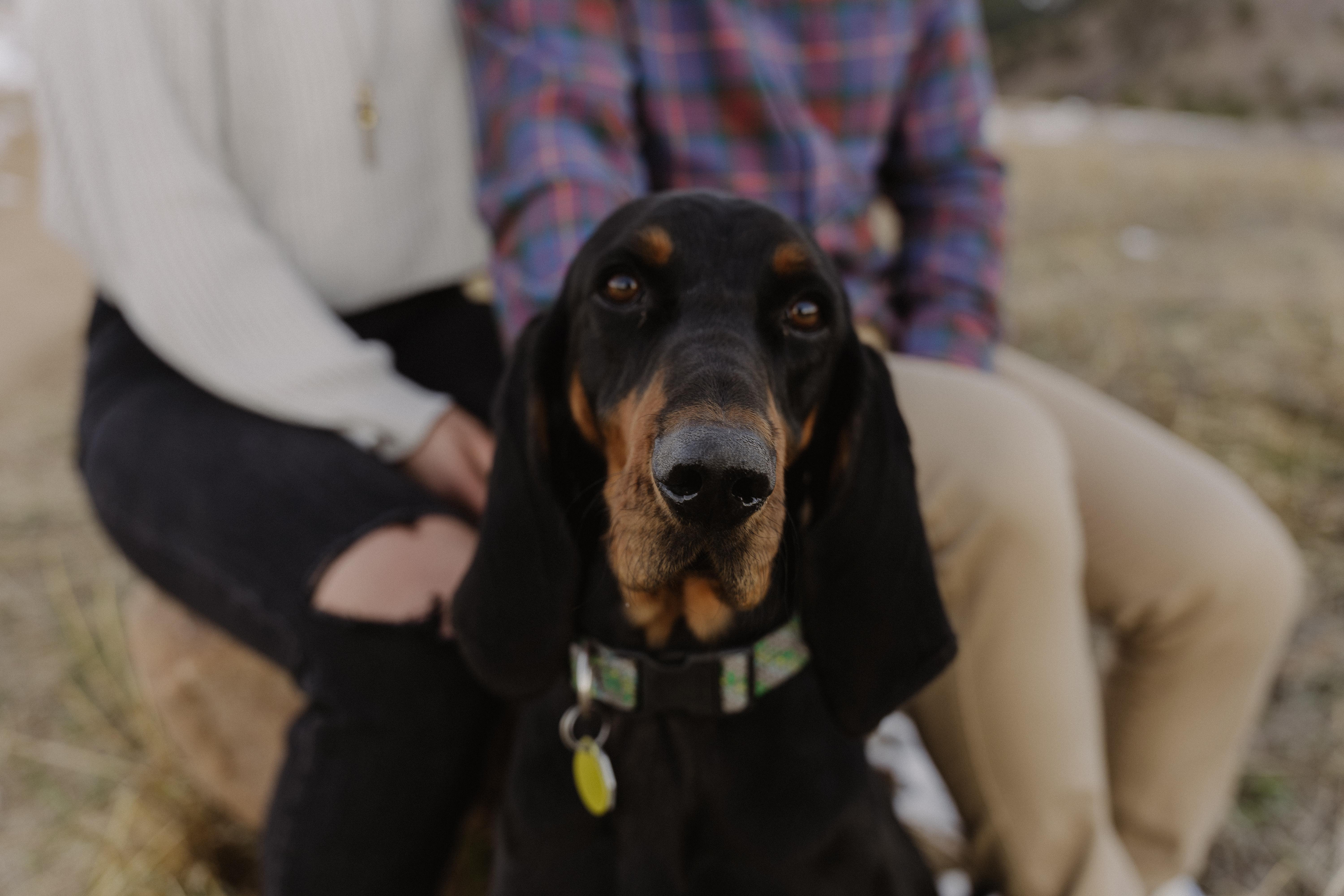 The Wedding Website of Lindsay Macdonald and Connor Warman