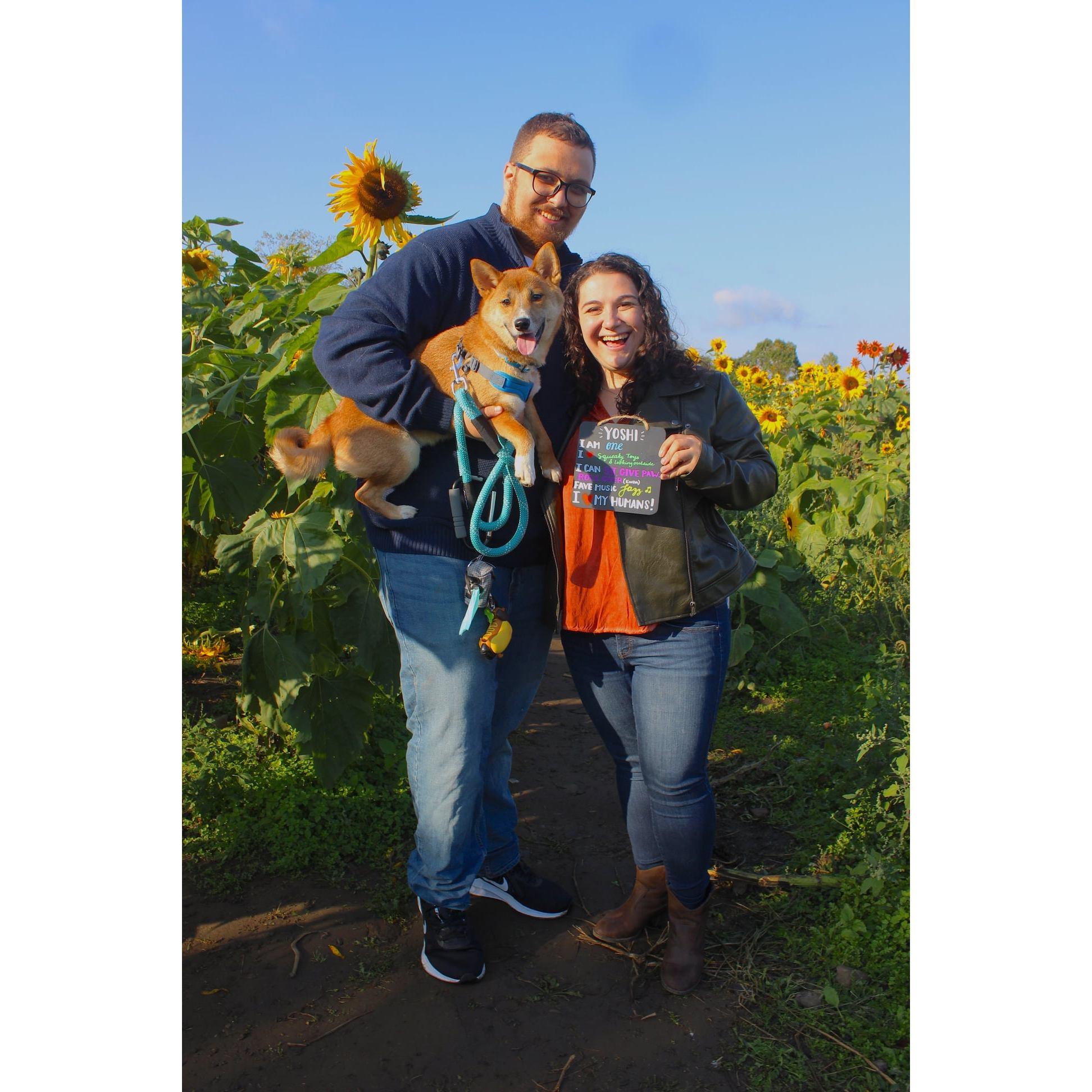 Taken at Outhouse Orchards North Salem, NY
Photos by Heather Temple