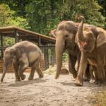 Oregon Zoo