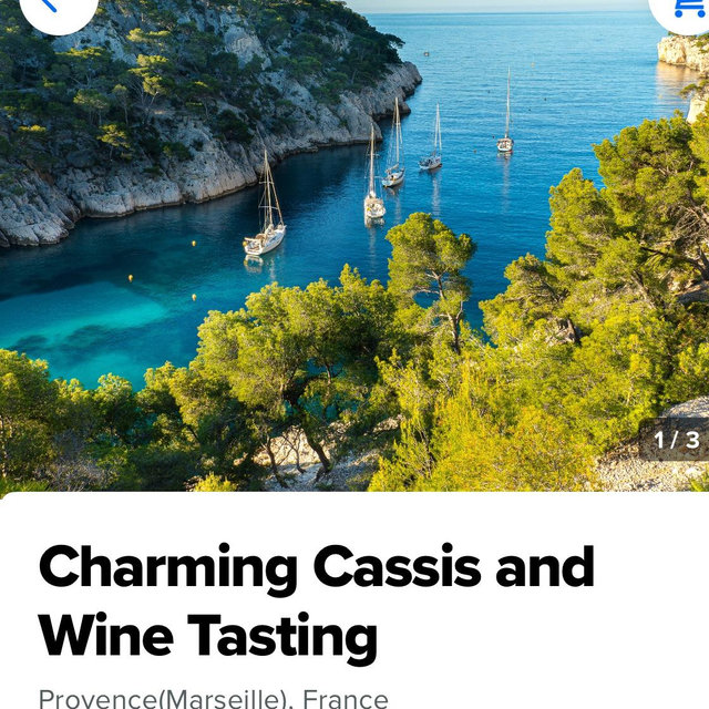 Wine tasting in France