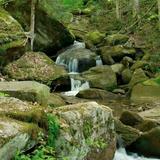 Bent Run Waterfall