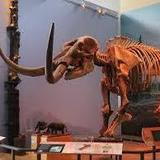 Museum of the Earth