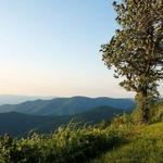 Shenandoah National Park