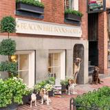 Beacon Hill Books & Cafe