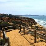 Torrey Pines State Reserve