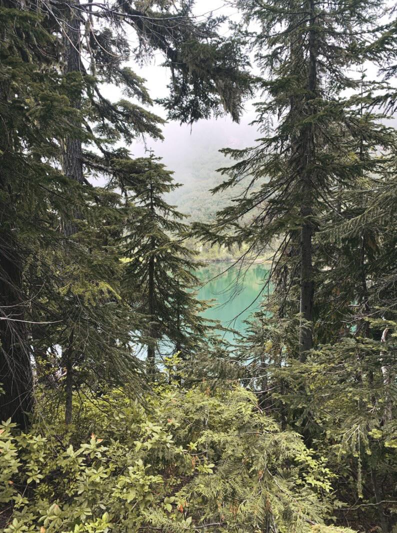 Bench Lake/ Snow Lake trail