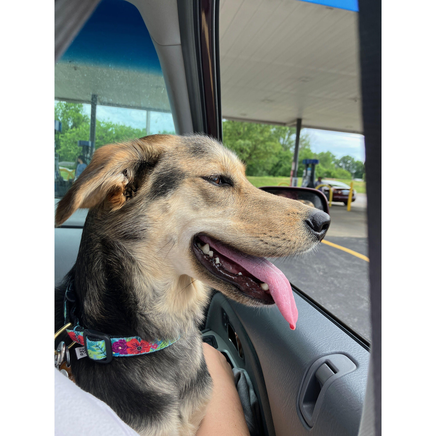 CAR RIDES!