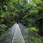 Mistico Arenal Hanging Bridges Park