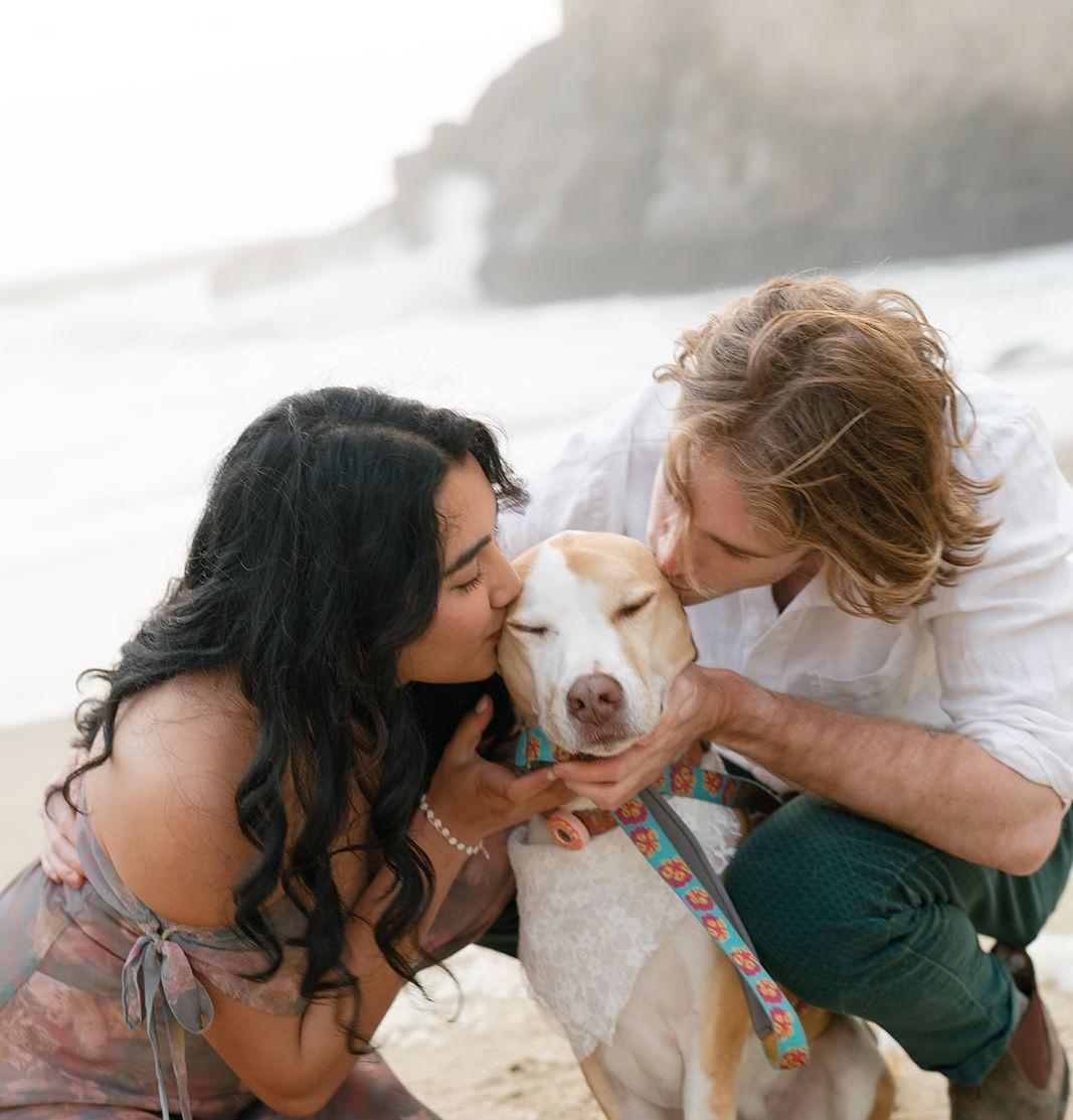 The Wedding Website of Alexandria Vingino and Francis Britschgi