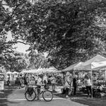 Green City Market Lincoln Park