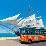 Hop on hop off Trolley