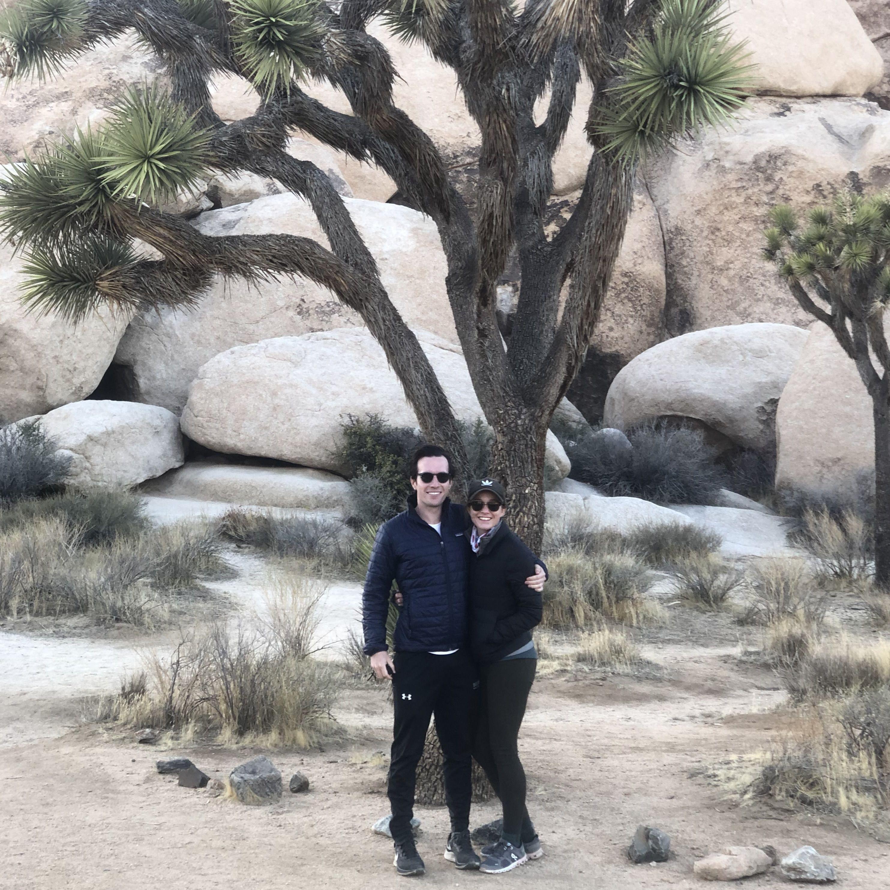 Mar, 2021 - Joshua tree COVID escape