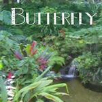 Butterfly Rainforest at the Florida Museum of Natural History