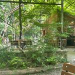 Kentucky Native Café