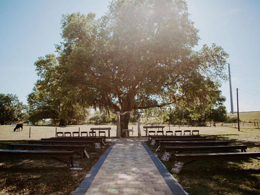 The Wedding Website of Daylon Crotts and Jay Patterson