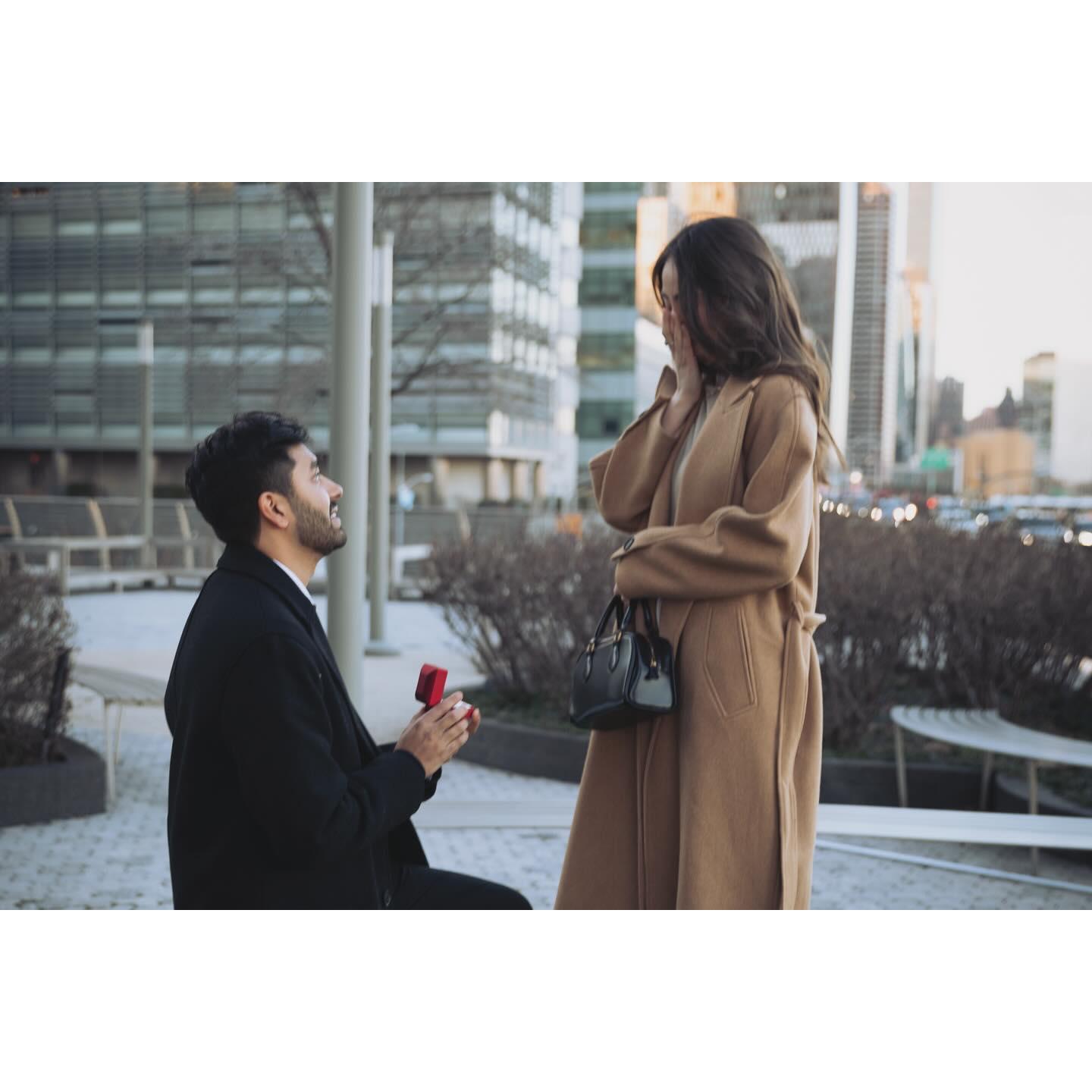 The Proposal (February 2024)