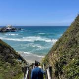 Sand Dollar Beach