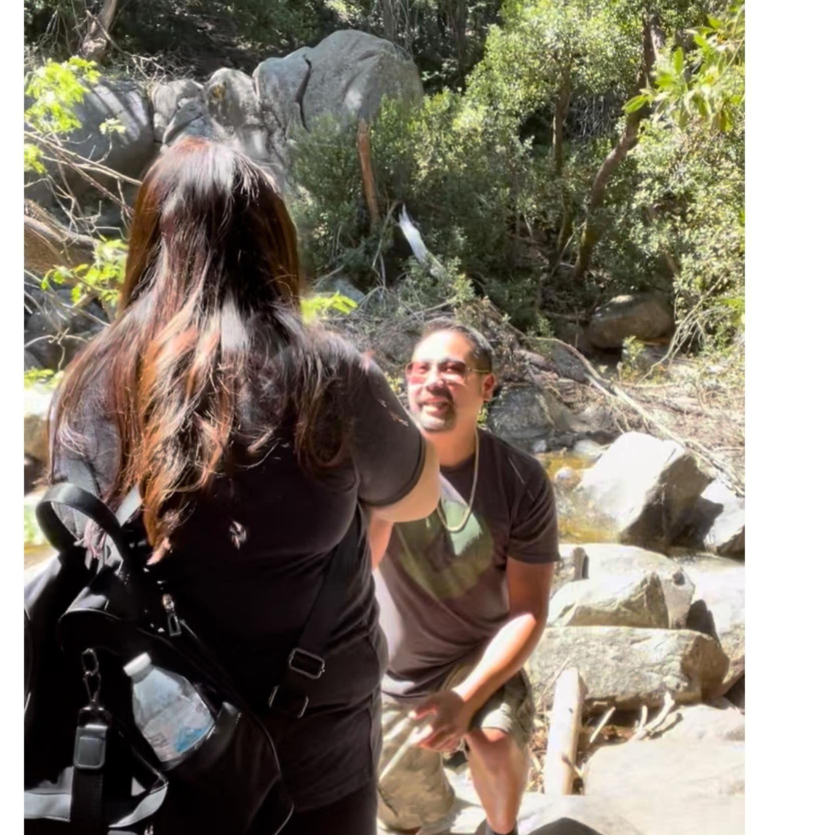 The proposal in Yosemite National Park was perfect!!