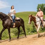 Five Oaks Riding Stables