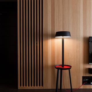 Carry Floor Lamp